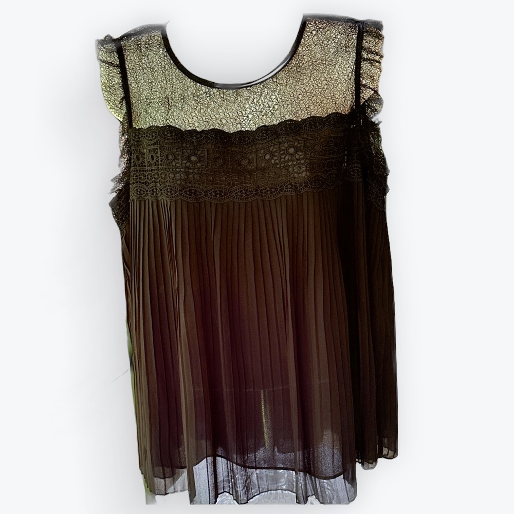 Ethereal Fairy Romantic Sheer Lacy Soft Girl Flowy Fluttery Witchy Black Top ~ L
